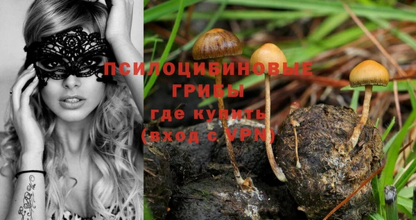 spice Саяногорск
