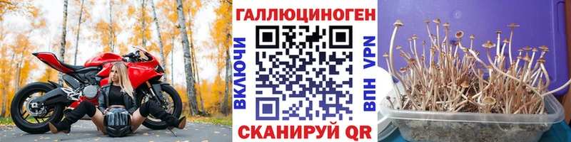 Галлюциногенные грибы мухоморы  MEGA   Сковородино 