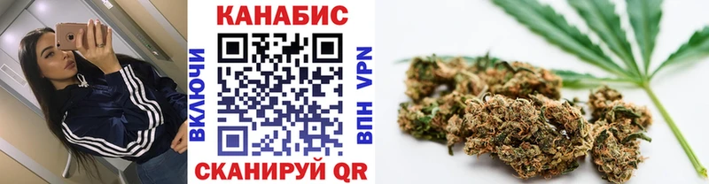 Шишки марихуана планчик  наркотики  Сковородино 